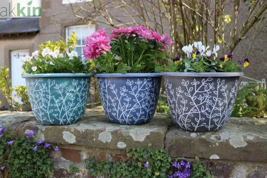 12 Serenity Bowl Decorative Plant Pot Black with Gree Wash Leaf - AK Kin Garden Supplies