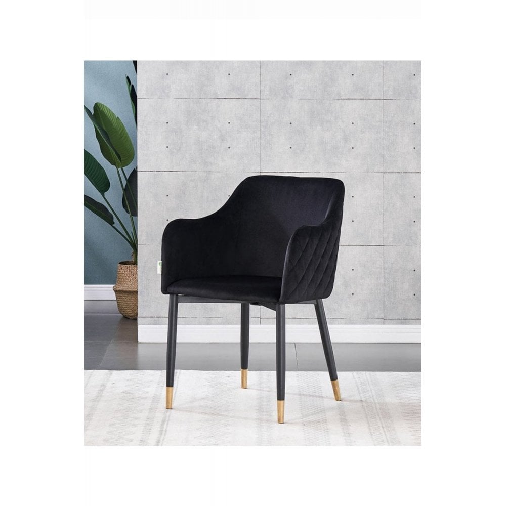 Verona LUX velvet dining chair PN Home