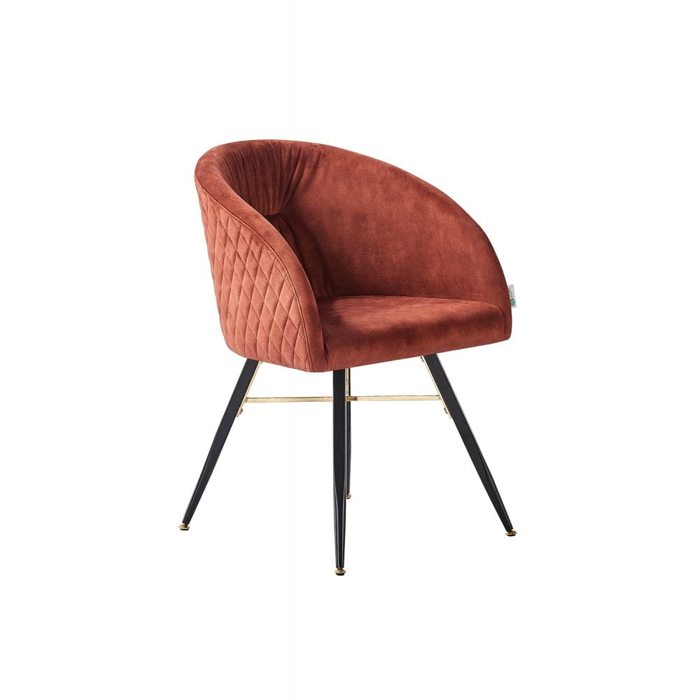 Vittorio LUX Velvet Dining Chair with Metal Legs - Perfect for Dining Room Living Room PN Home