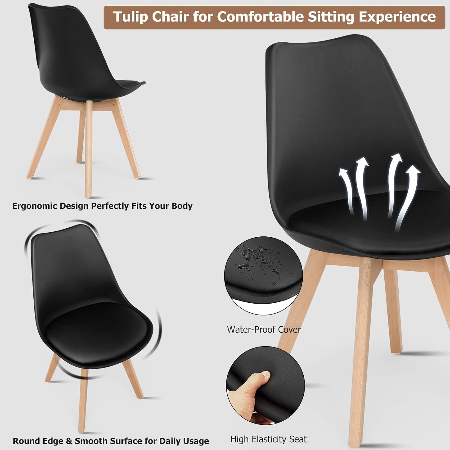 Jamie Lorenzo dining Chair PN Home