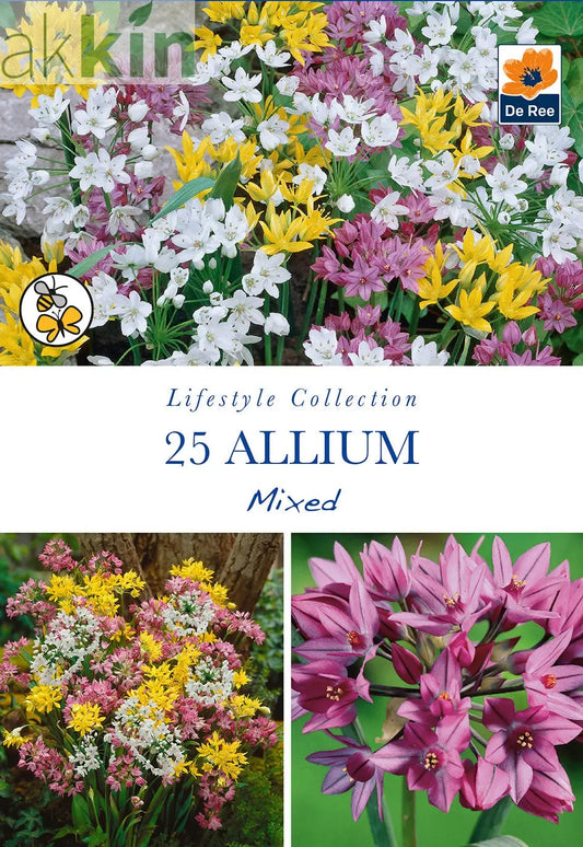 Allium Mixed Bulbs (25 Bulbs) One Click Plants