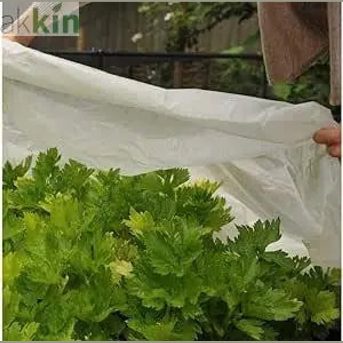 Apollo Garden Fleece Frost Protection 17gsm 1m x 24m - AK Kin Garden Supplies
