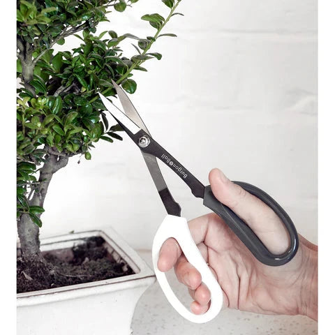 Burgon & Ball Japanese Pruning Scissors House, Home & Garden