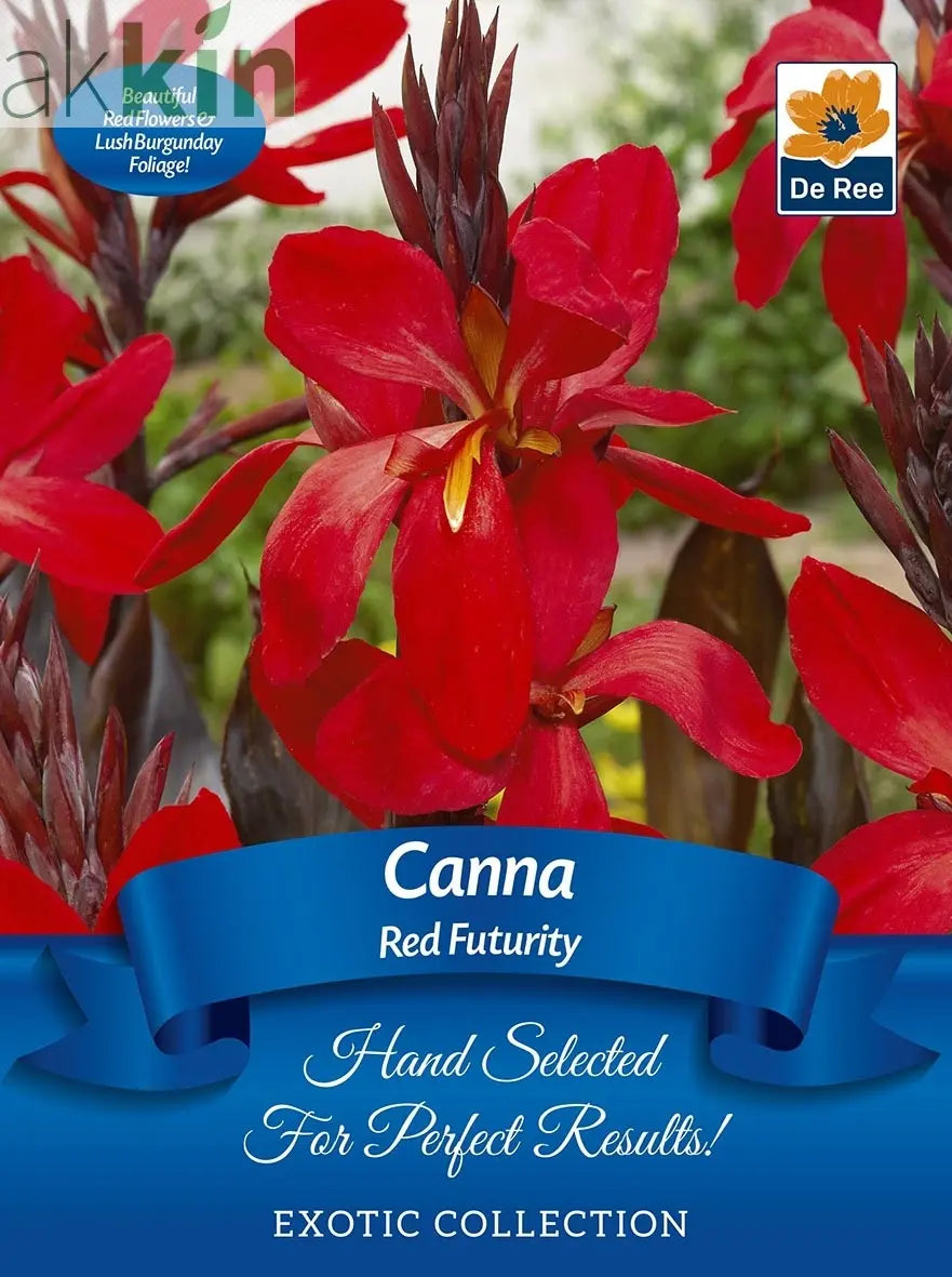 Canna 'Red Futuriy' | Exotic Collection | 1 Corm One Click Plants