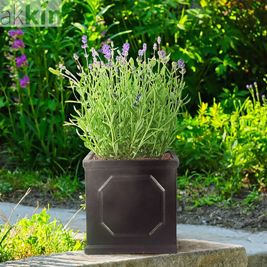IDEALIST Lite Chelsea Flower Box Square Garden Planter, Faux Lead Light Stone Outdoor Plant Pot W22 H22 L22 cm, 11L One Click Plants