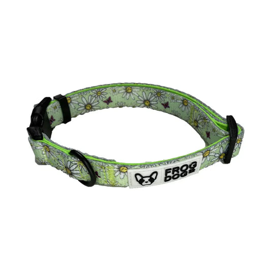 Comfy-Wear Dog Collar - Daisy Days Medium 2.0cm width / 32-50cm Neck AK Kin Garden Supplies