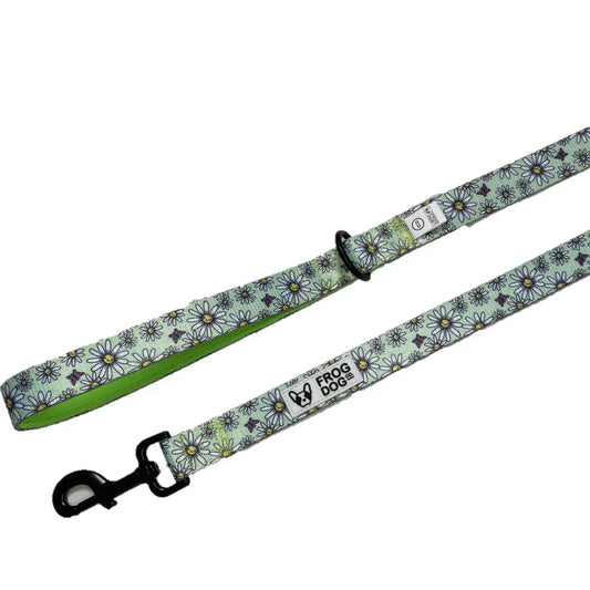 Comfy-Wear Dog Lead - Daisy Days - LARGE Chunky 2.5cm width / 152cm length AK Kin Garden Supplies