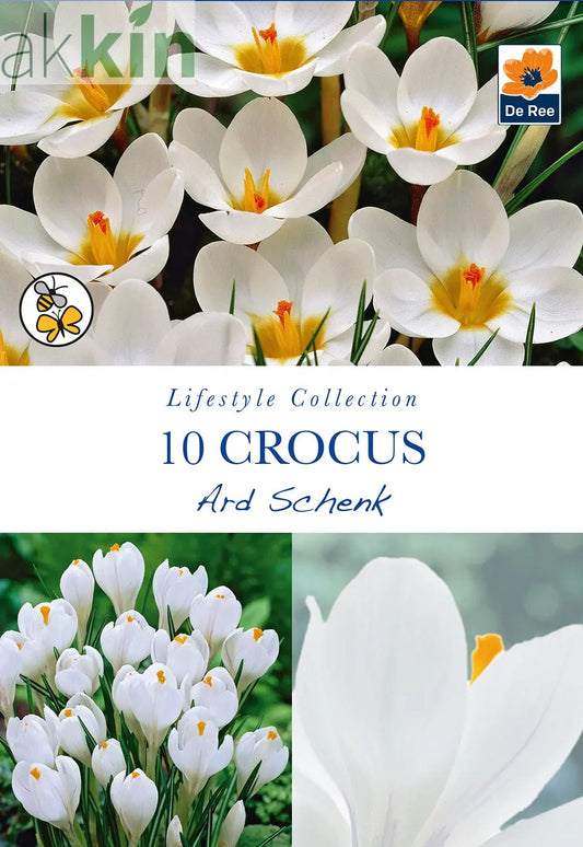 Crocus Ard Schenk (10 Bulbs) One Click Plants