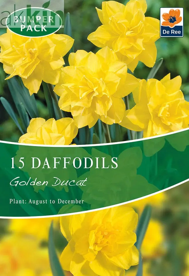Daffodil 'Golden Ducat' (15 Bulbs) One Click Plants