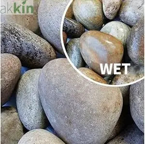 Decorative Scottish Beach Cobbles 75-50mm 25kg - AK Kin Garden Supplies