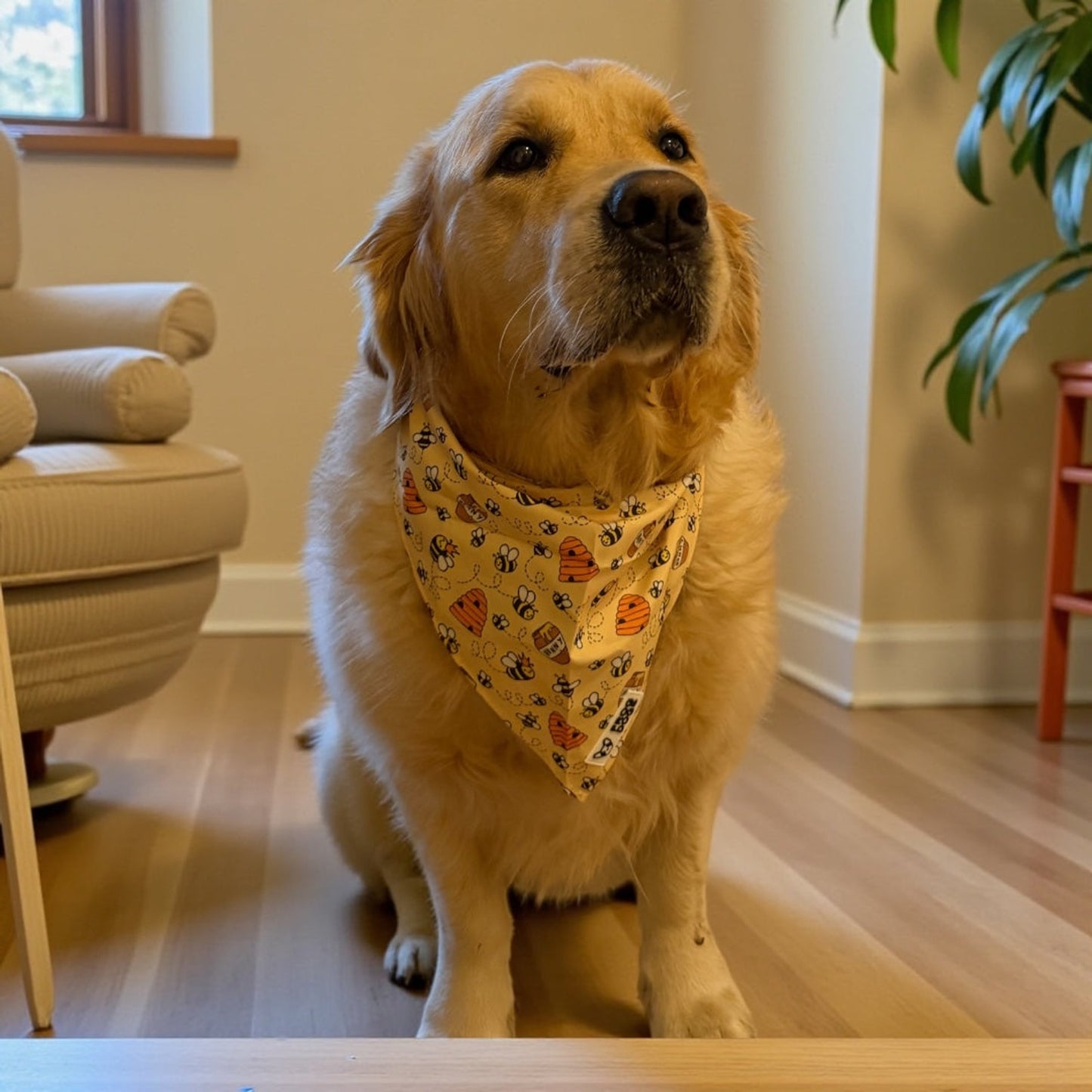 Dog Bandana - Bee Kind - One Size House, Home & Garden