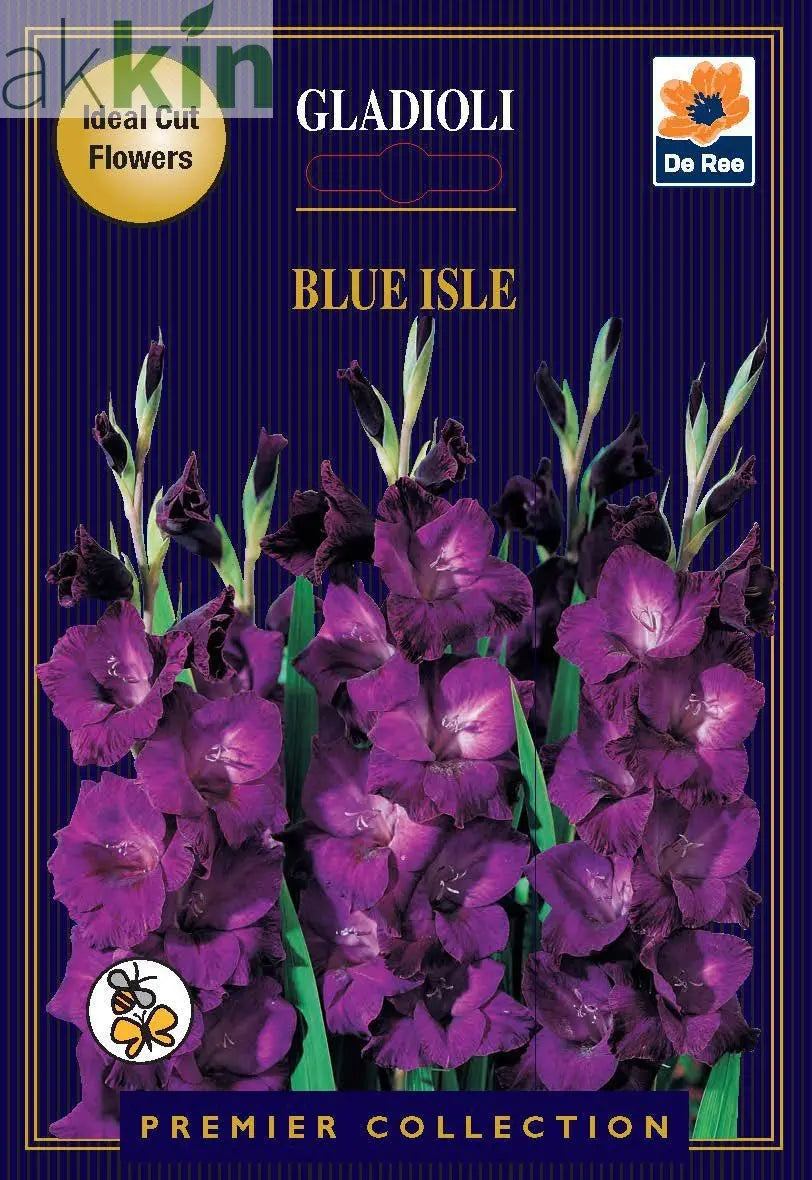 Gladioli Bulbs | Blue Isle |10 Bulbs One Click Plants