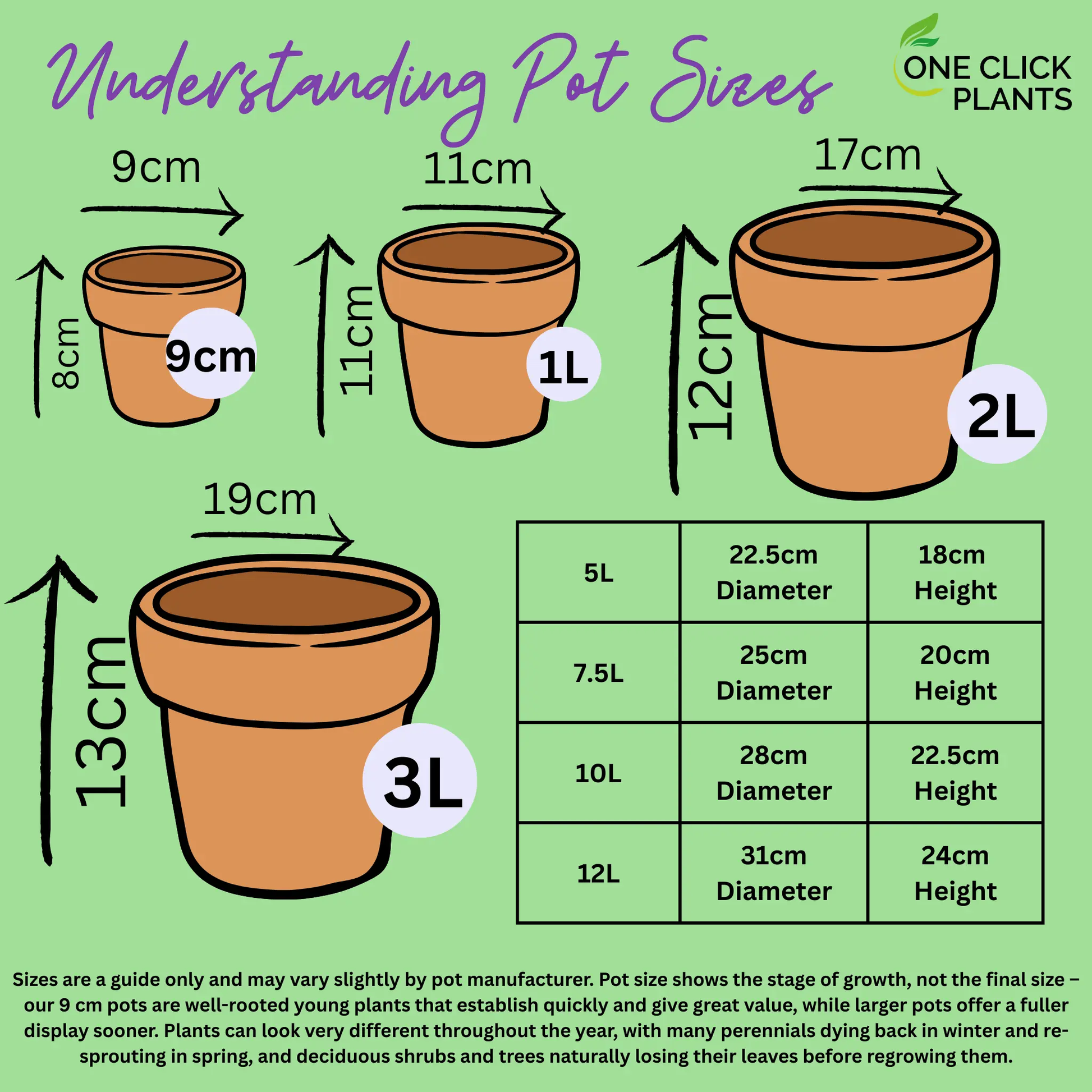 Hardy Cyclamen Pink (9cm Pot) One Click Plants