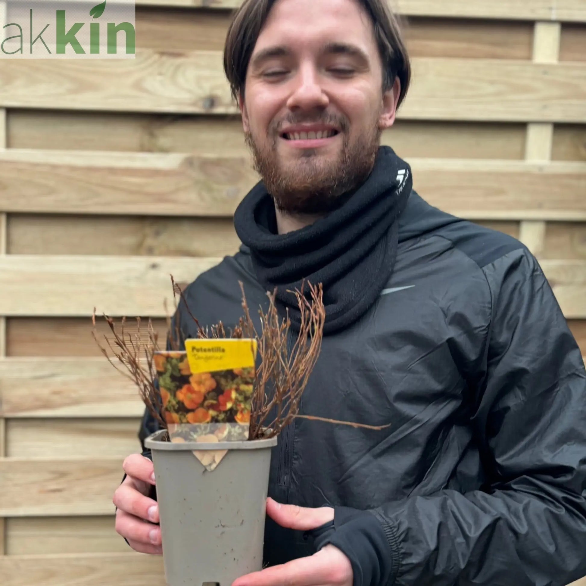 Potentilla fruticosa 'Tangerine' 1L One Click Plants