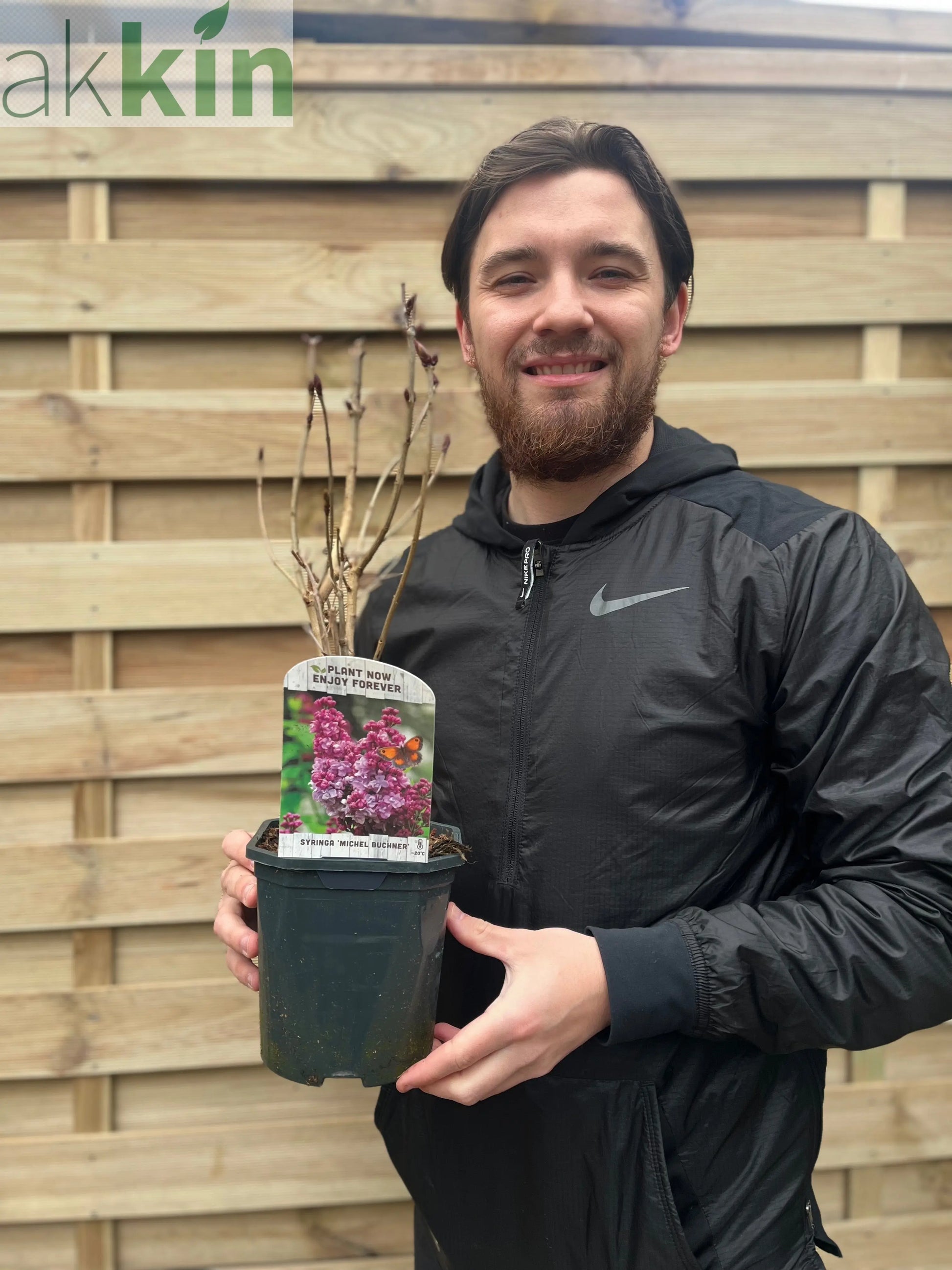 Syringa vulgaris 'Michel Buchner' 2L One Click Plants