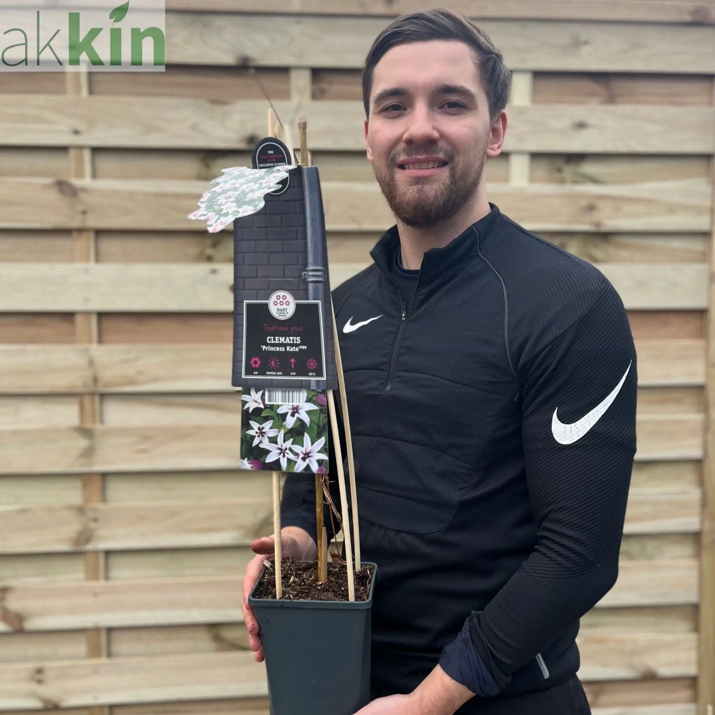 Clematis 'Princess Kate' 75cm One Click Plants