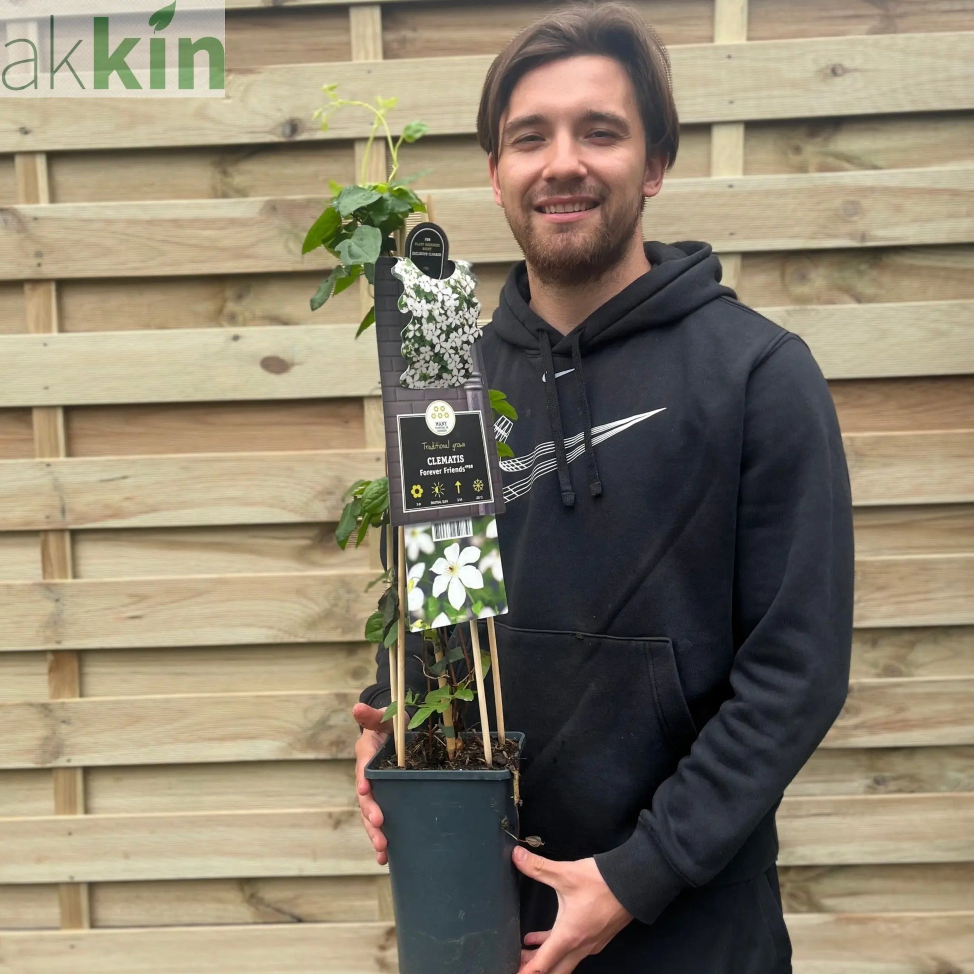 Clematis 'Forever Friends' 70cm One Click Plants