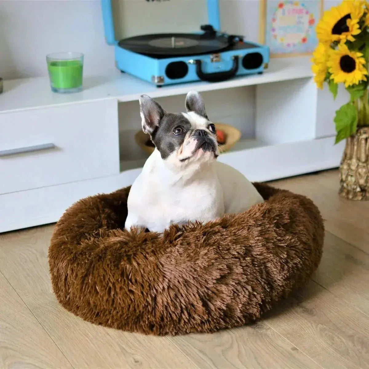 Luxury Soft Donut Dog Bed Cushion Superior Comfort Small 50cm - Brown AK Kin Garden Supplies