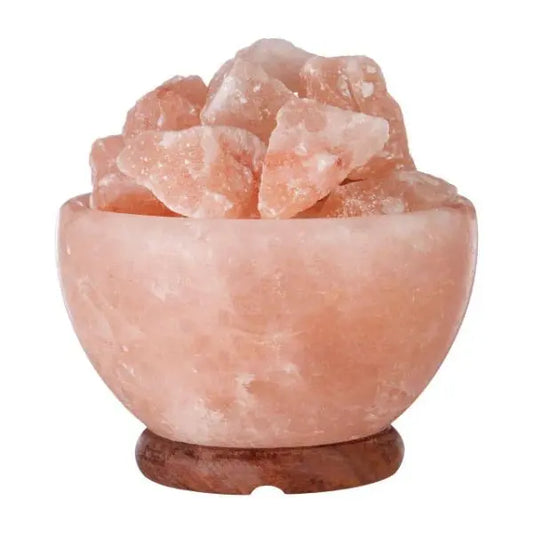 Nepal Bowl Salt Lamp AK Kin Garden Supplies