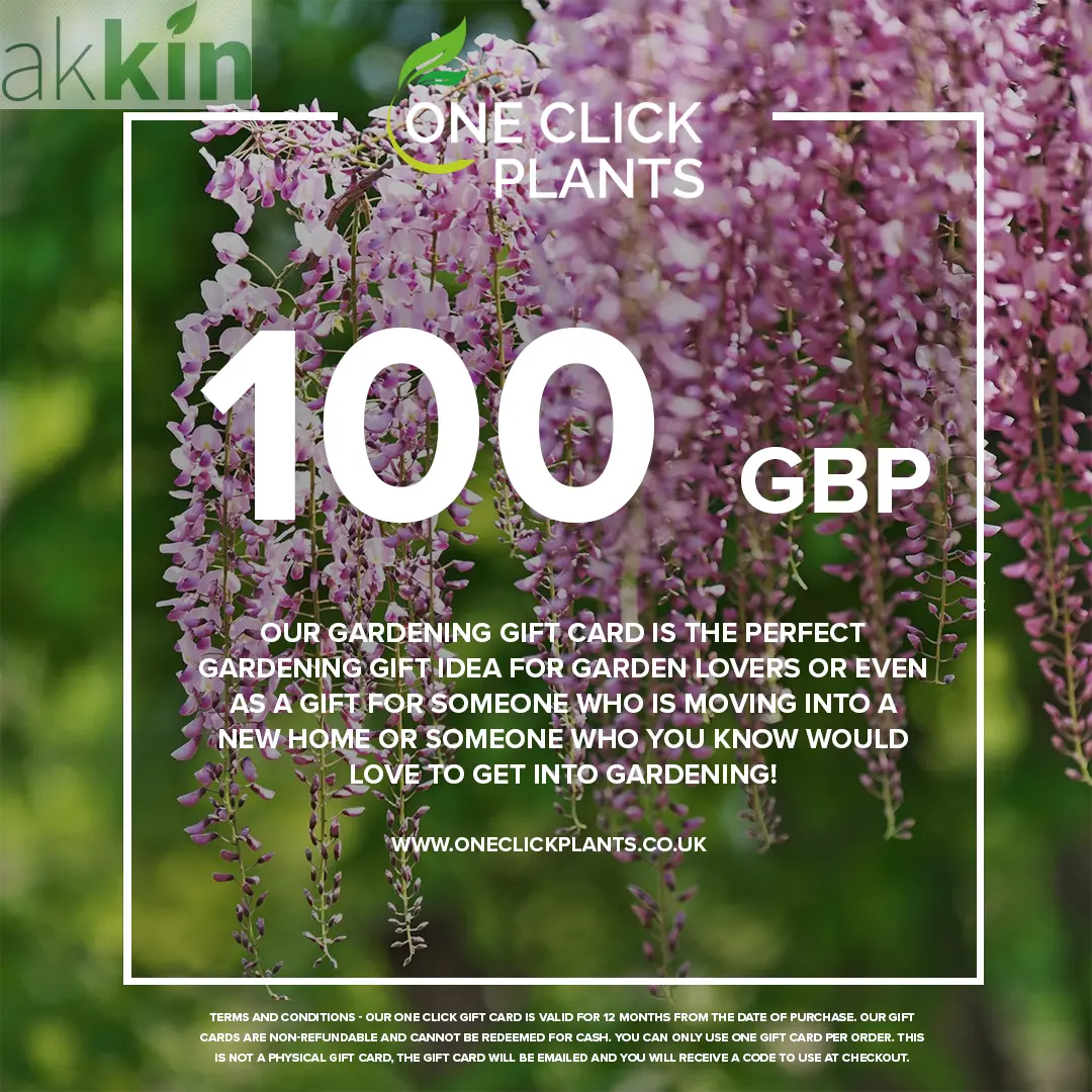 One Click Plants Gardening Gift Card from £25 to £300 One Click Plants