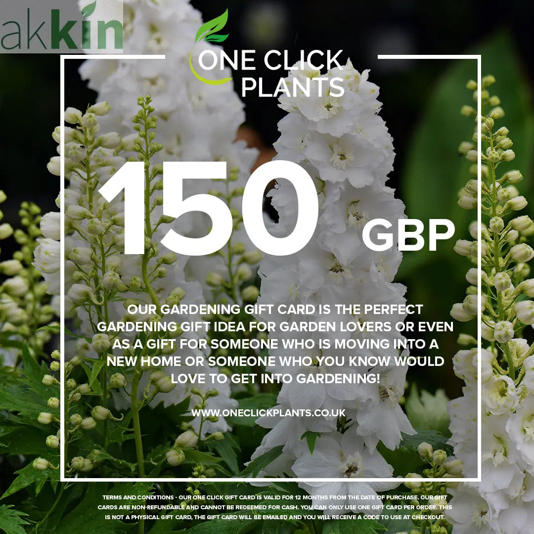 One Click Plants Gardening Gift Card from £25 to £300 One Click Plants