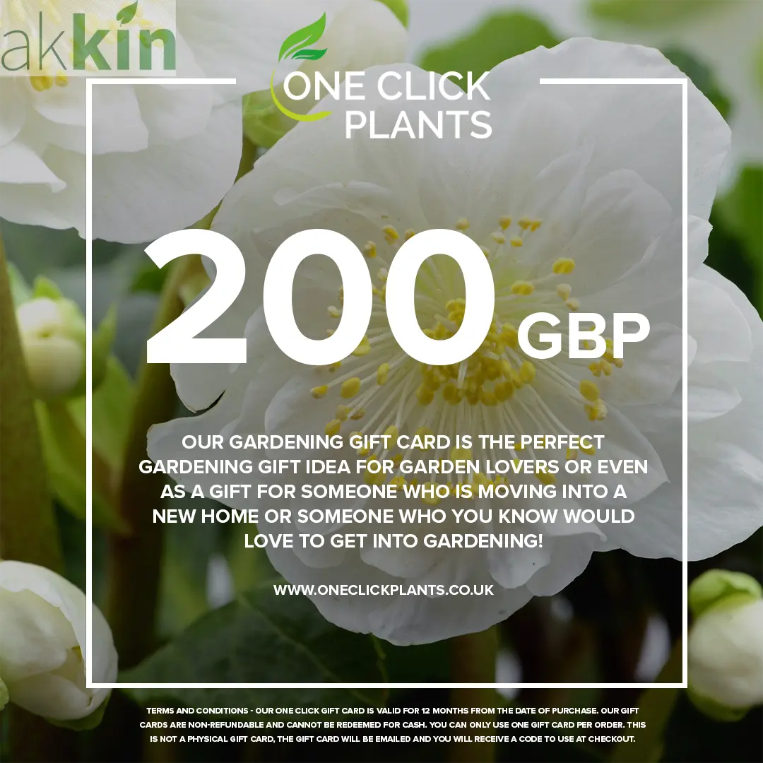 One Click Plants Gardening Gift Card from £25 to £300 One Click Plants