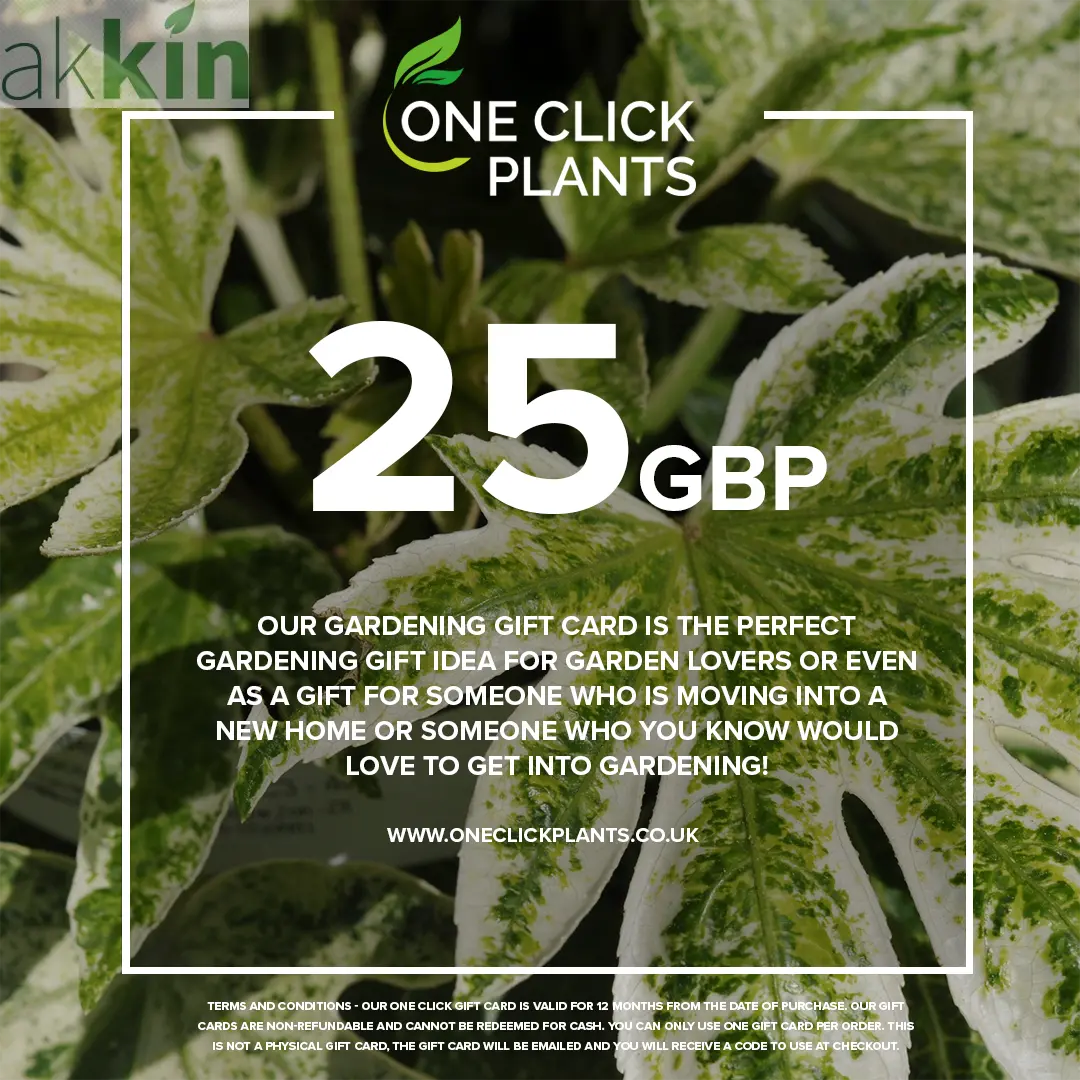 One Click Plants Gardening Gift Card from £25 to £300 One Click Plants