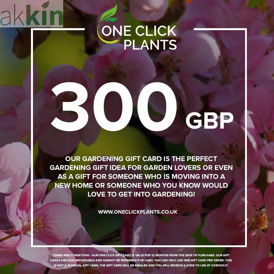 One Click Plants Gardening Gift Card from £25 to £300 One Click Plants