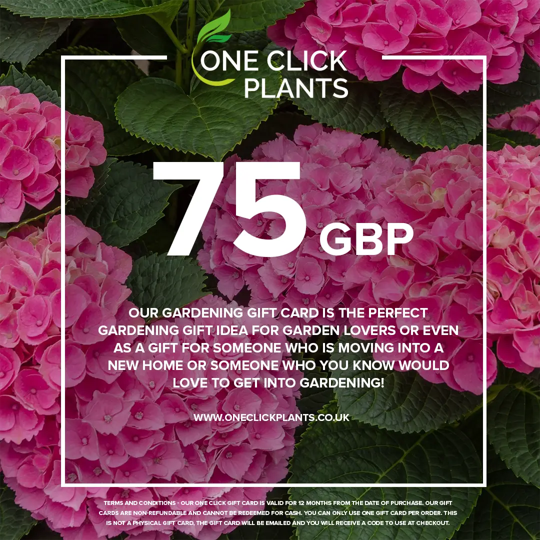 One Click Plants Gardening Gift Card from £25 to £300 One Click Plants