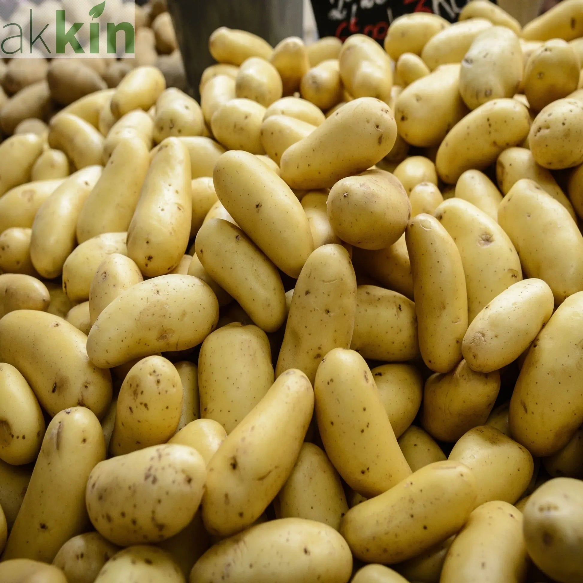 Charlotte Seed Potatoes 2KG One Click Plants