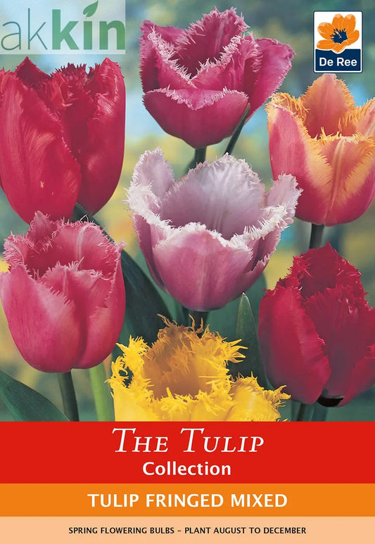 Tulip Fringed Mixture (4 Bulbs) One Click Plants
