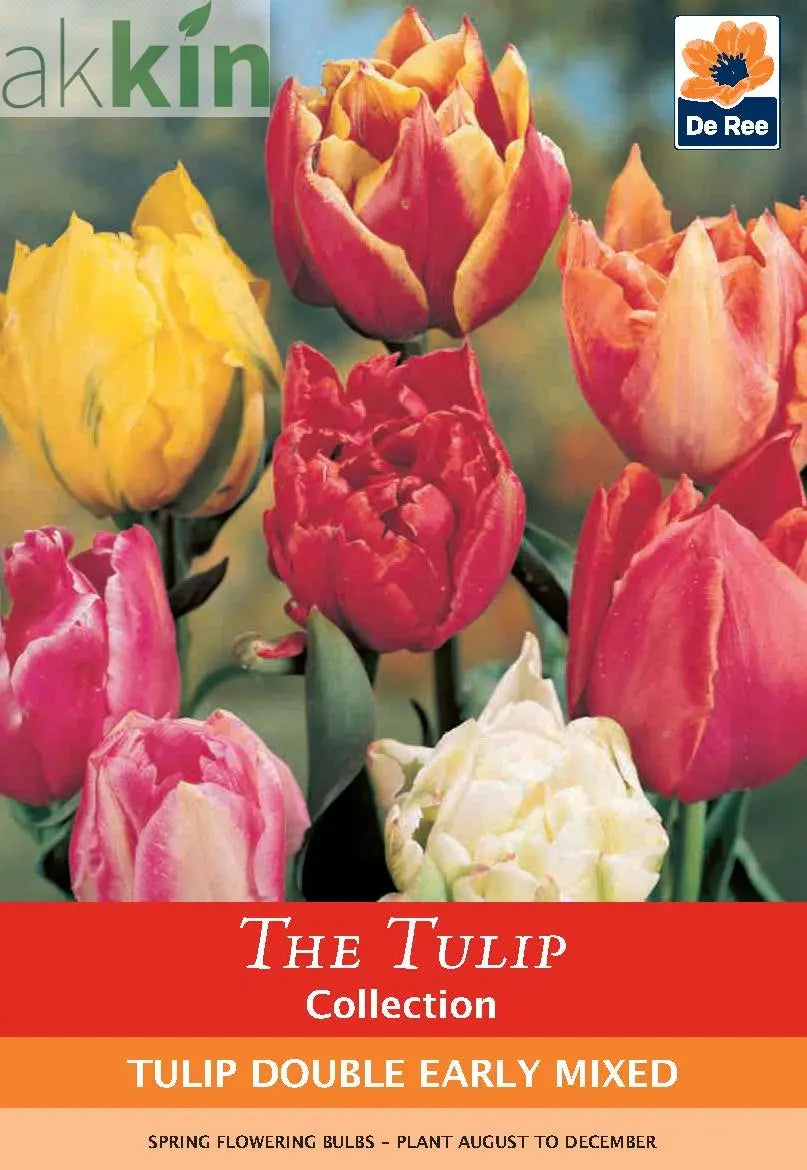 Tulip Double Early Mixed (4 Bulbs) One Click Plants
