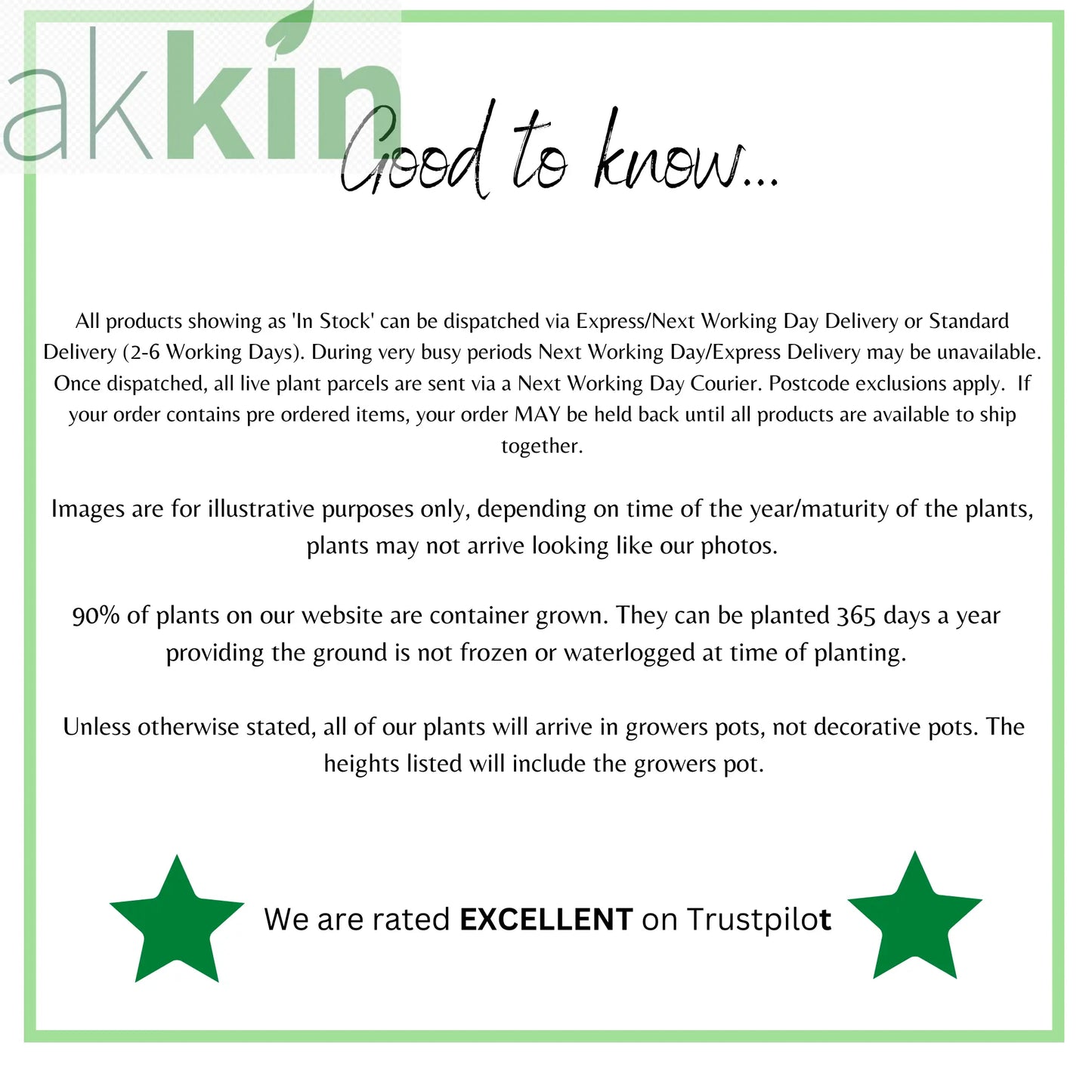 Clematis 'Polish Spirit' 60cm One Click Plants