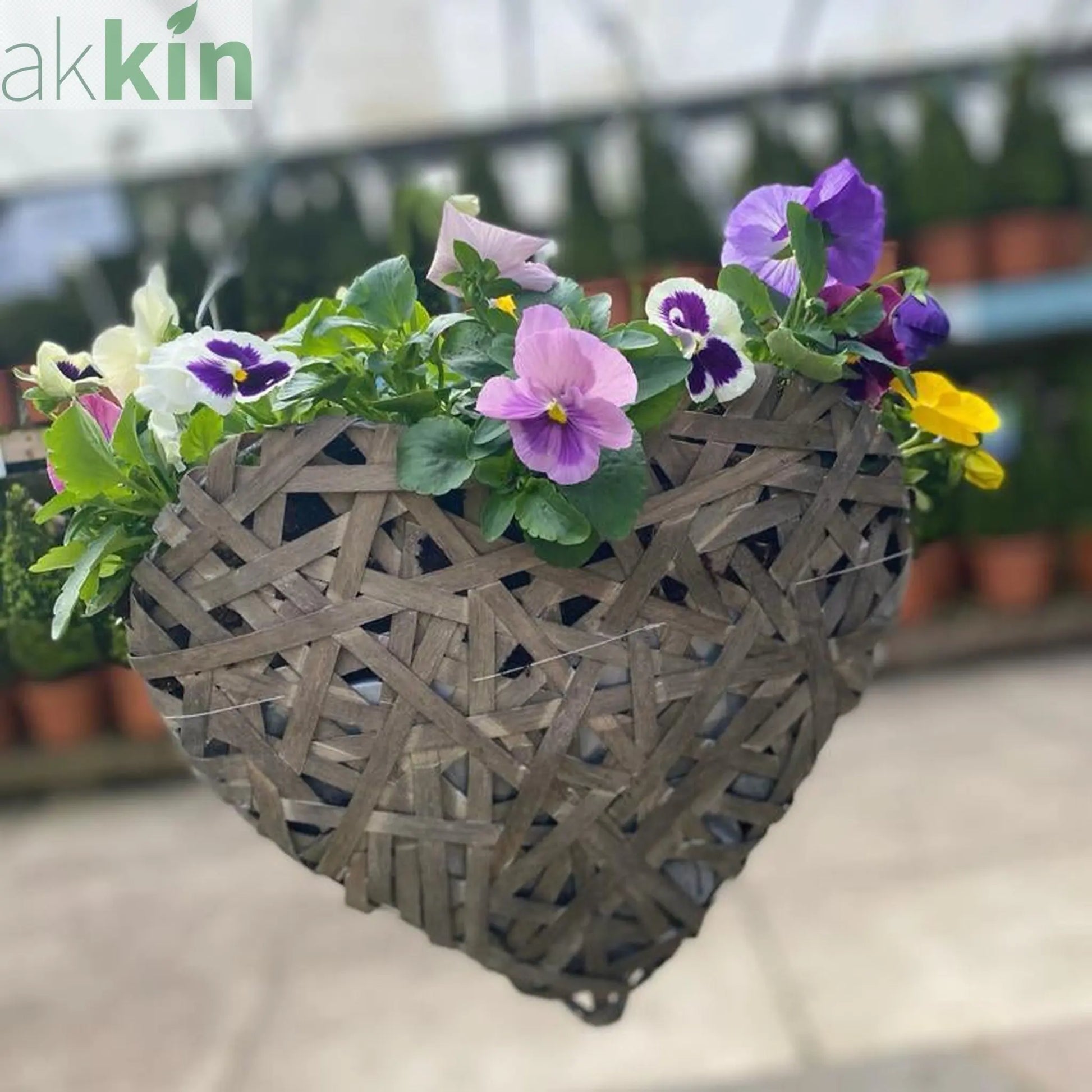 Plant Your Own Love Heart Basket -  Pansies One Click Plants