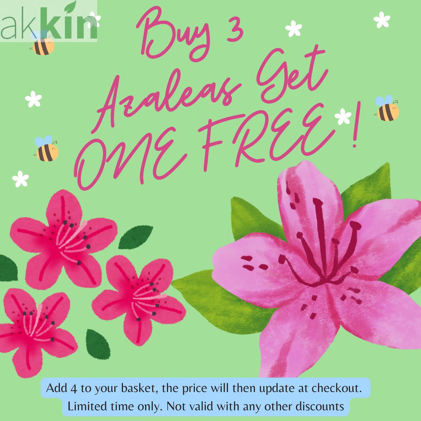 Azalea Hino Crimson 1.5L One Click Plants