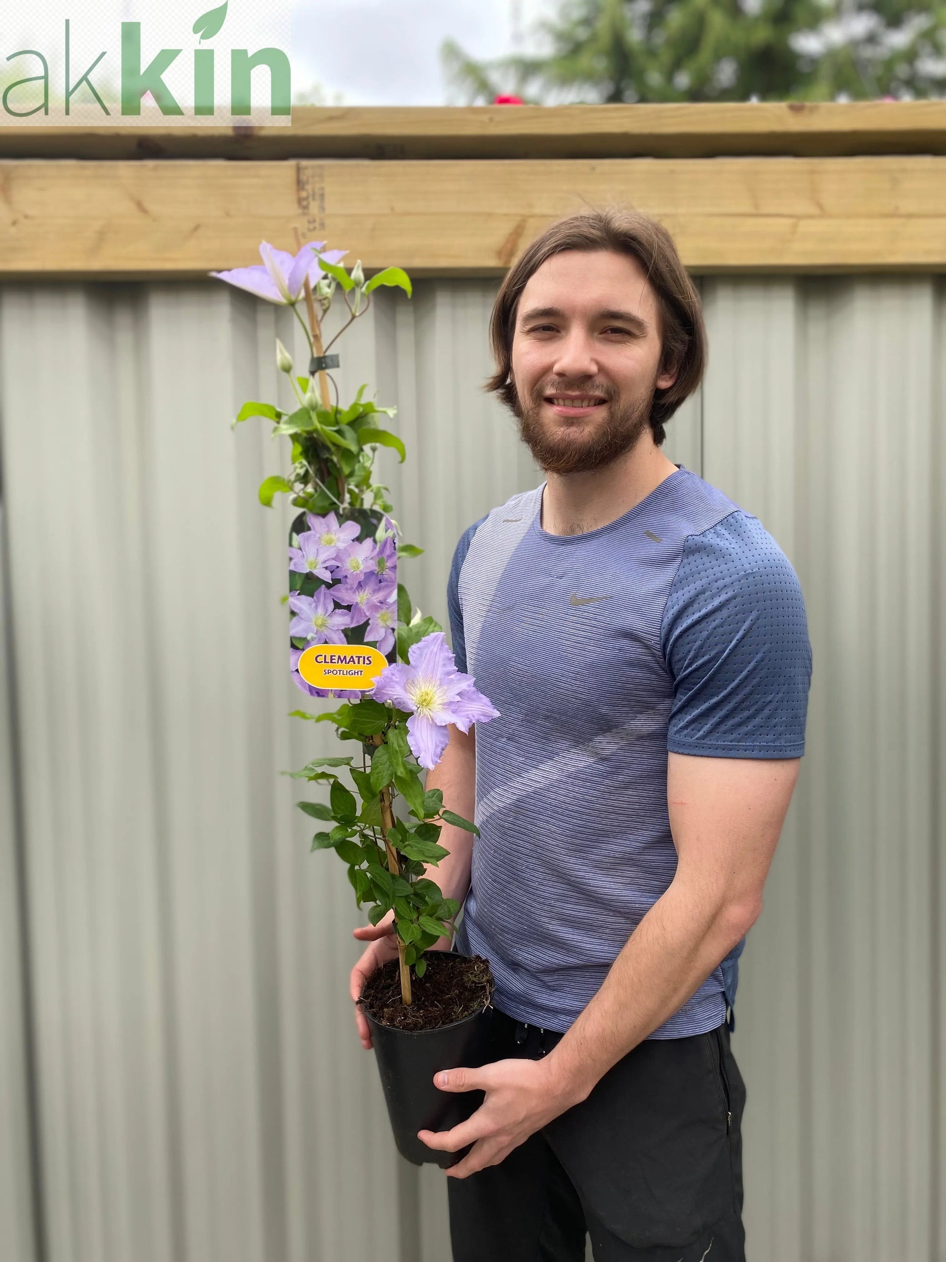 Clematis 'Spotlight' 90-95cm One Click Plants