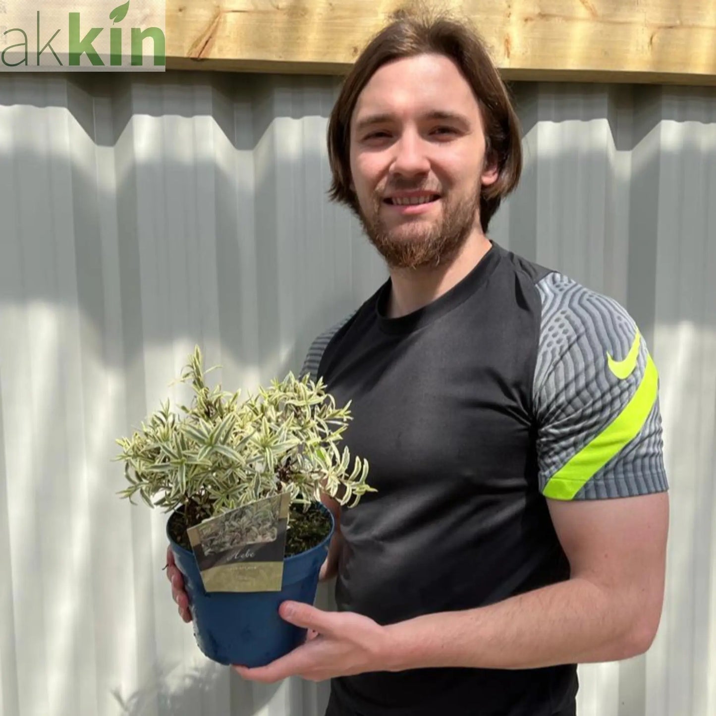 Hebe 'Eyecatcher' 2L One Click Plants