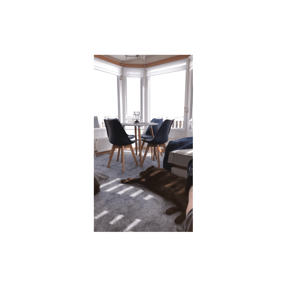 Jamie Halo Round Dining Table Set with 4 Chairs PN Home