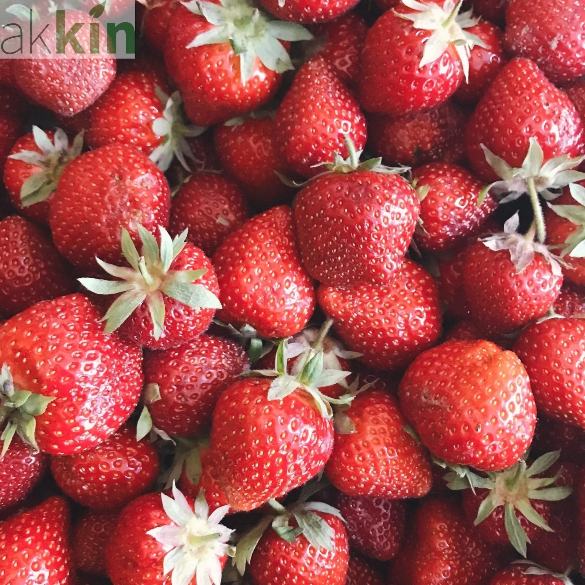 Plant Your Own - Strawberry Basket/Container One Click Plants