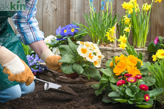 The-Complete-Gardener-s-Calendar-for-UK-Planting AK Kin Garden Supplies