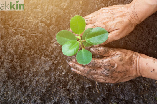 Why-is-Garden-Lime-important AK Kin Garden Supplies