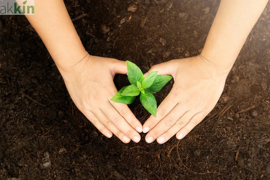 Maximising-Plant-Growth-With-Melcourt-Peat-Free-Compost AK Kin Garden Supplies