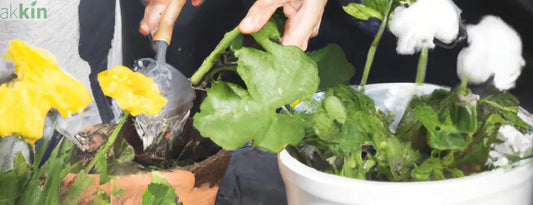 Spring-Planting-Tips-for-a-Beautiful-Garden AK Kin Garden Supplies