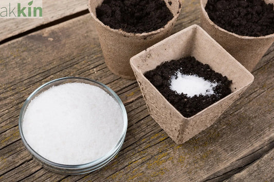 Use-SwellGel-to-Keep-Your-Plants-Hydrated AK Kin Garden Supplies