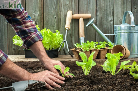 The-Gardening-Supplies-You-Need-to-Start-Your-Own-Veg-Patch AK Kin Garden Supplies