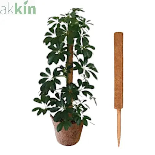 1.2m Coco Pole Plant Support - AK Kin Garden Supplies