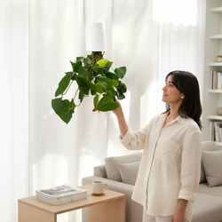 Boskke Skyplanter - Hanging Planters - 9cm, 12cm or 15cm House, Home & Garden
