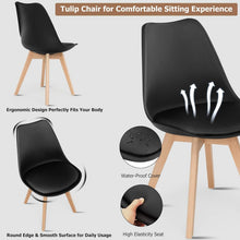 Jamie Lorenzo dining Chair