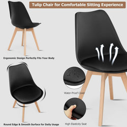 Jamie Lorenzo dining Chair