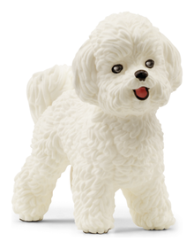 Schleich - Bichon Frise